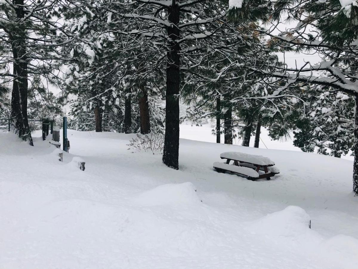 Mountain View Cabins Wrightwood Zewnętrze zdjęcie